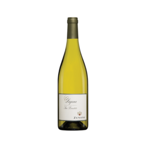 זנאטו לוגאנה לבן סאן בנדטו