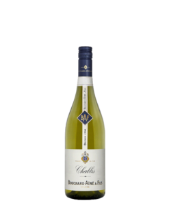 שאבלי בושארד אן אנד פיל