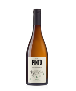 פינטו חולות לבן (Pinto Holot White)