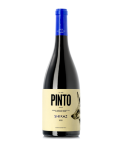 שירז פינטו (Pinto Shiraz)