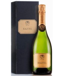 רזיאל ברוט מבעבע