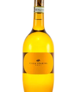 וילה ספרינה גאבי