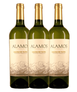 שלישיית יינות אלמוס - סובניון בלאן