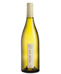 יקב ויתקין מסע ישראלי לבן