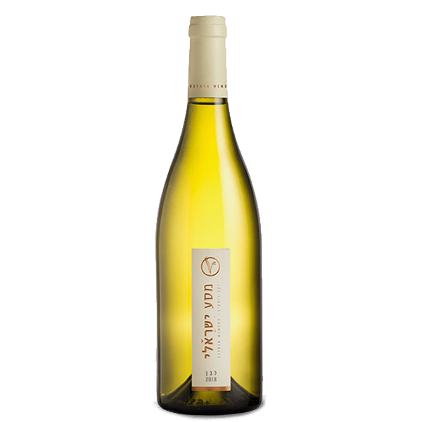 יקב ויתקין מסע ישראלי לבן