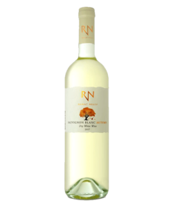 רמת נגב נווה מדבר סוביניון בלאן