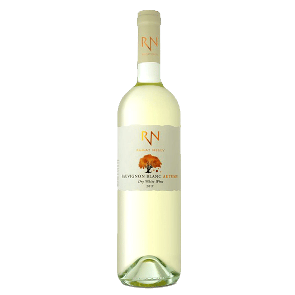 רמת נגב נווה מדבר סוביניון בלאן