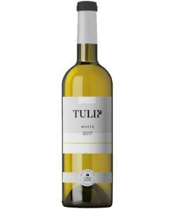 טוליפ וויט (Tulip White)