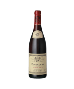 לואי ז'אדו בורגון פינו נואר (Louis Jadot Bourgogne Pinot Noir)