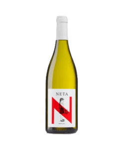 נטע לבן (Netta White)