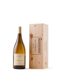 פלם קמיליה מגנום