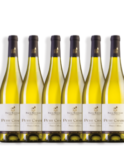שישיית פטיט שאבלי פסקאל בושאר (Pascal Bouchard Petit Chablis)