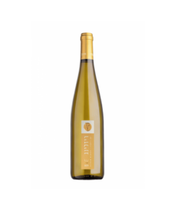 ויתקין ריזלינג (vitkin winery riesling)