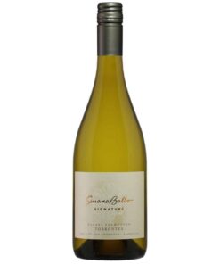 סוזנה באלבו קריוס טורונטס (Susana Balbo Torrontes)